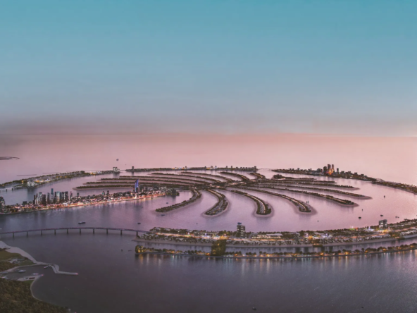 Dmaxx palm jebel ali