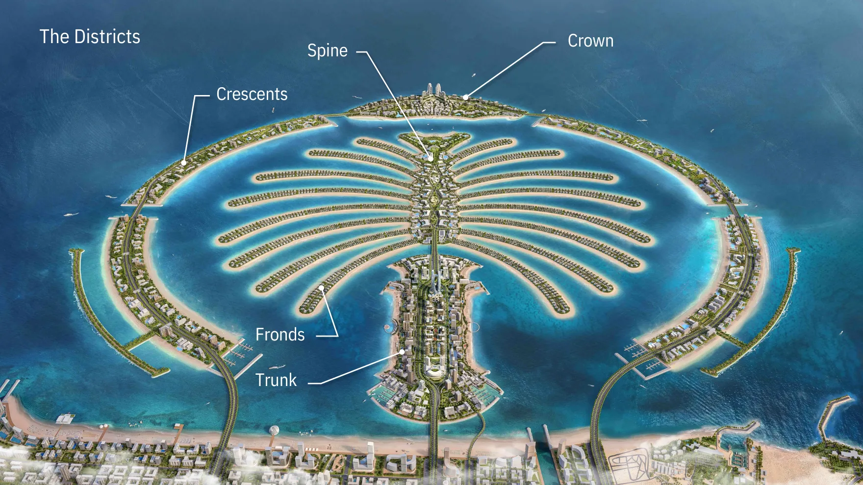 Dmaxx palm jebel ali